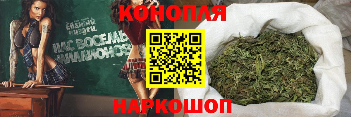 МАРИХУАНА сатива  Бошки марихуана план  Шишки марихуана Ganja  Гатчина  Бошки Шишки AK-47  Вход с VPN 